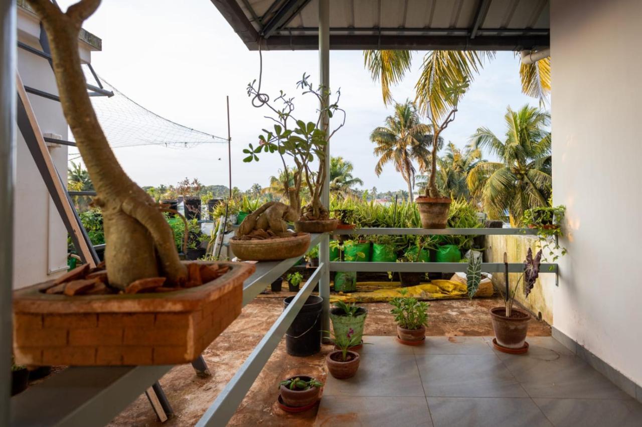 Homested Homestay Fort Kochi Exterior photo